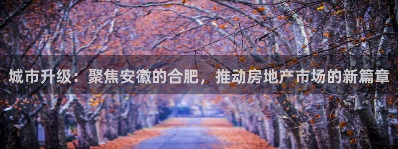 新宝5下载到桌面：城市升级：聚焦安徽的合肥，推动房地产市场的
