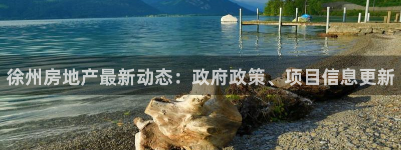 新宝5下载 迅雷下载：徐州房地产最新动态：政府政策、项目信息