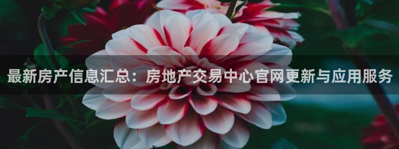 新宝5平台注册资金：最新房产信息汇总：房地产交易中心官网更新