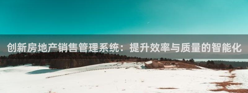 新宝5是什么：创新房地产销售管理系统：提升效率与质量的智能化