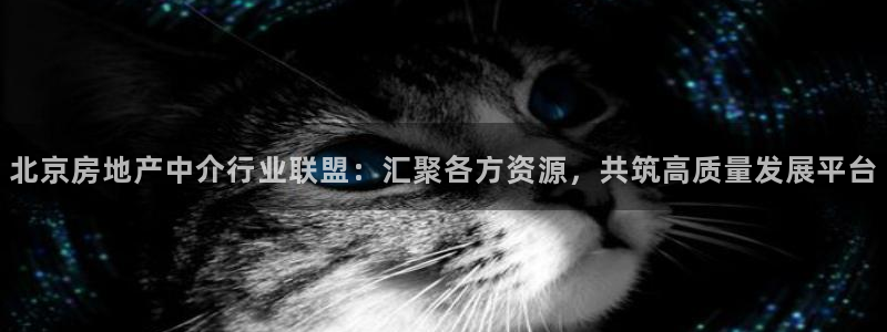 新宝集团新宝5：北京房地产中介行业联盟：汇聚各方资源，共筑高
