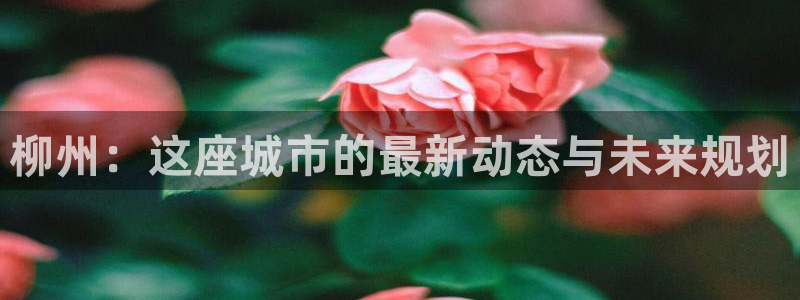 新宝xb5：柳州：这座城市的最新动态与未来规划