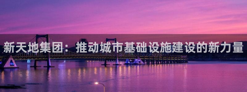 新5宝：新天地集团：推动城市基础设施建设的新力量