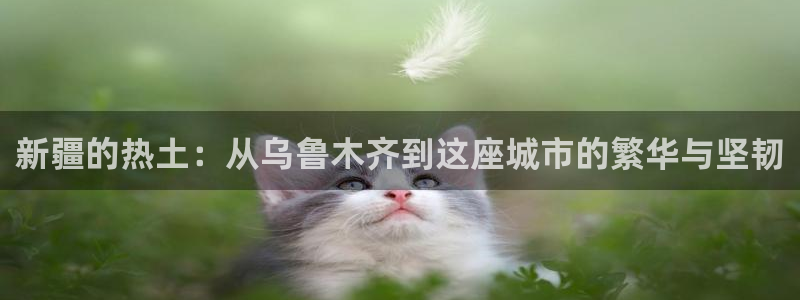 新宝5蒋7O667：新疆的热土：从乌鲁木齐到这座城市的繁华与
