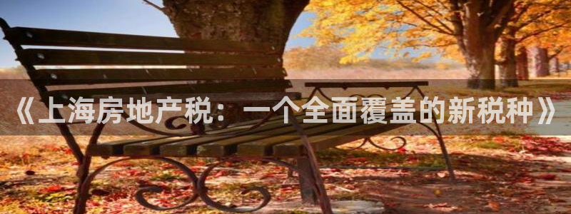 新宝5寻33 300球：《上海房地产税：一个全面覆盖的新税种