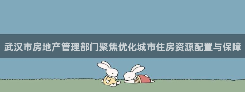 新宝5官网app：武汉市房地产管理部门聚焦优化城市住房资源配