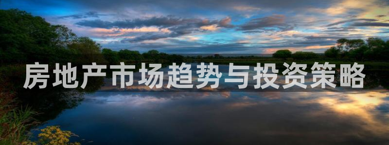新宝5总代：房地产市场趋势与投资策略