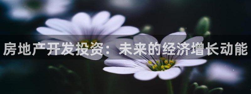 新宝5-：房地产开发投资：未来的经济增长动能