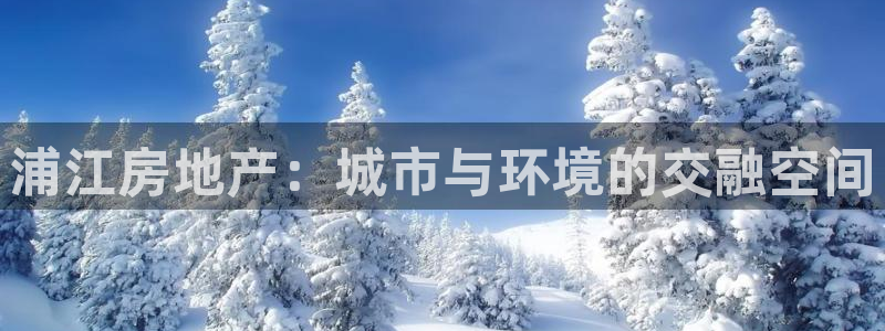 新宝5平台登录下载软件：浦江房地产：城市与环境的交融空间
