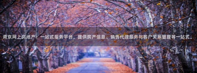 新宝5日谢29999：南京网上房地产：一站式服务平台，提供房