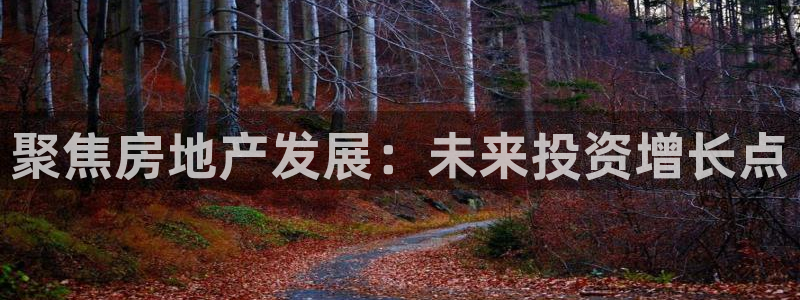 新宝5为啥开：聚焦房地产发展：未来投资增长点