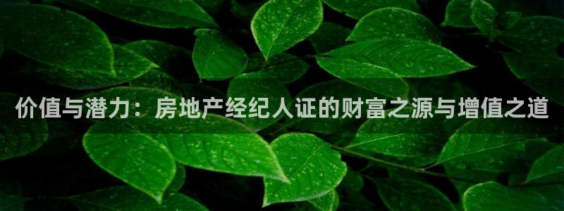 新宝5X：价值与潜力：房地产经纪人证的财富之源与增值之道