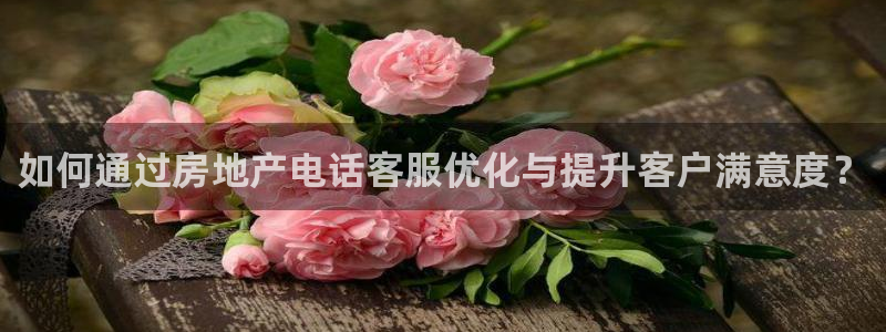 新宝5链接：如何通过房地产电话客服优化与提升客户满意度？