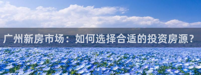 新宝5 - 测速登陆：广州新房市场：如何选择合适的投资房源？