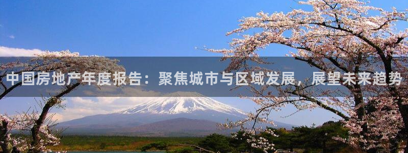 新宝5注册平台：中国房地产年度报告：聚焦城市与区域发展，展望