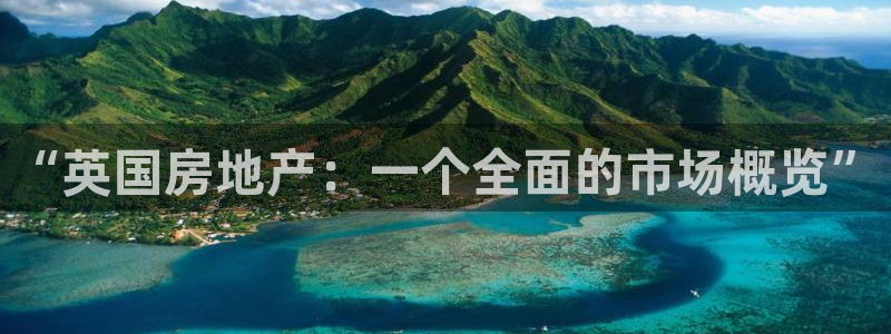 新宝5 注册：“英国房地产：一个全面的市场概览”