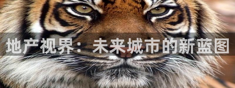 新宝5是谁：地产视界：未来城市的新蓝图