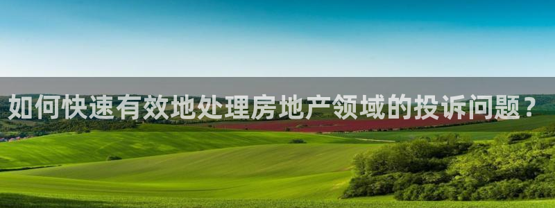 下载新宝5：如何快速有效地处理房地产领域的投诉问题？