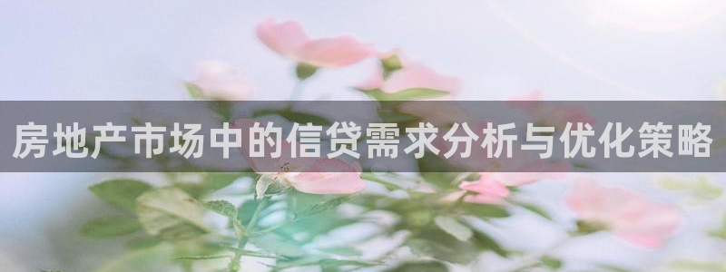 新宝5新宝6顺达：房地产市场中的信贷需求分析与优化策略