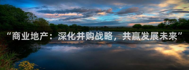 新宝5总代：“商业地产：深化并购战略，共赢发展未来”