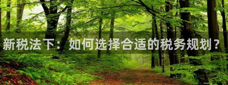 新宝5 测速：新税法下：如何选择合适的税务规划？