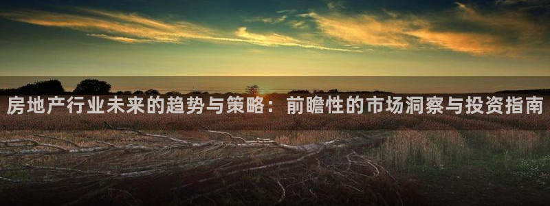 新宝5平台：房地产行业未来的趋势与策略：前瞻性的市场洞察与投