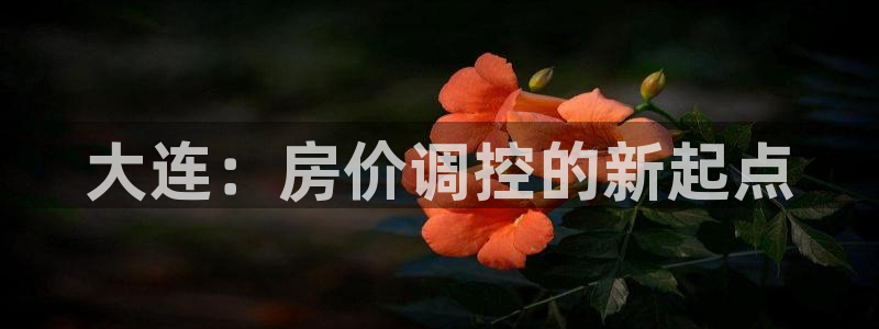 新宝5直属：大连：房价调控的新起点