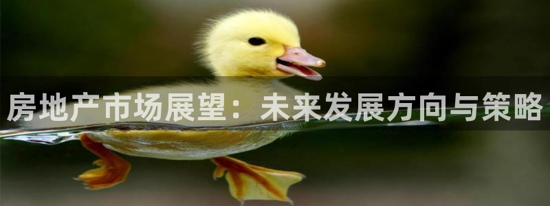 新宝5登录霸：房地产市场展望：未来发展方向与策略