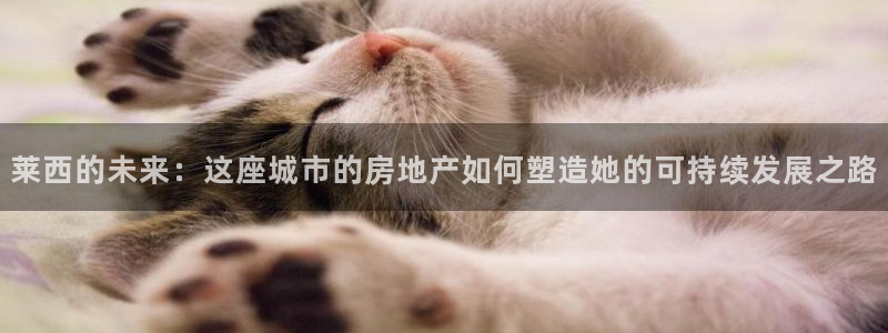 新宝5娱乐家：莱西的未来：这座城市的房地产如何塑造她的可持续