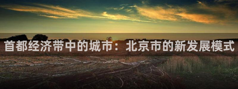 新宝5是什么样子的：首都经济带中的城市：北京市的新发展模式