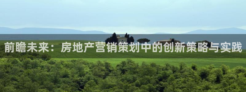 新宝5测速在线：前瞻未来：房地产营销策划中的创新策略与实践