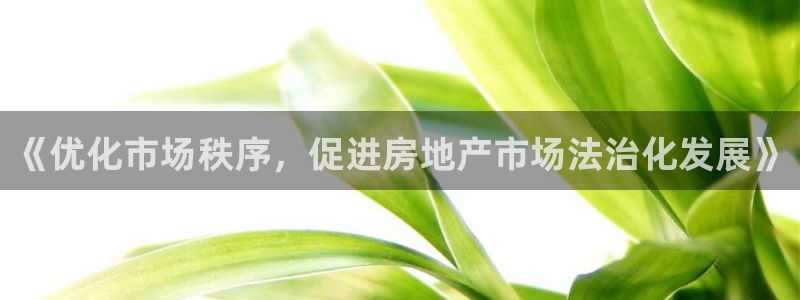 新宝5彩票娱乐平台：《优化市场秩序，促进房地产市场法治化发展