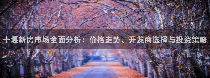 新宝5平台注册资金：十堰新房市场全面分析：价格走势、开发商选