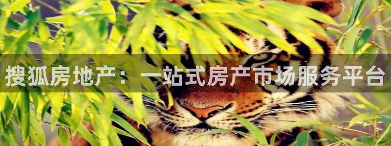 新宝5秒开