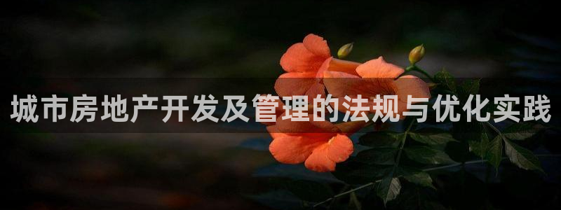 新宝5登录霸：城市房地产开发及管理的法规与优化实践