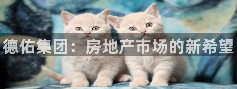 新宝5的网址