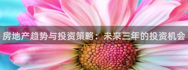 新宝5登陆：房地产趋势与投资策略：未来三年的投资机会