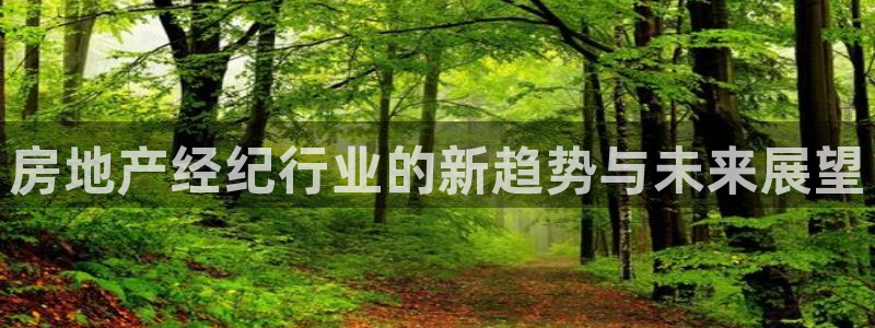 新宝5平台：房地产经纪行业的新趋势与未来展望