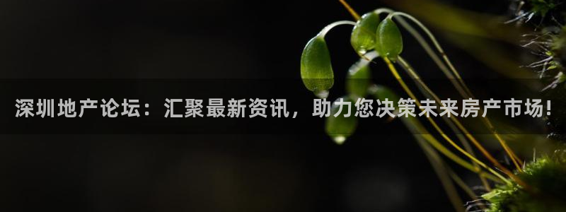 新宝娱乐5：深圳地产论坛：汇聚最新资讯，助力您决策未来房产市