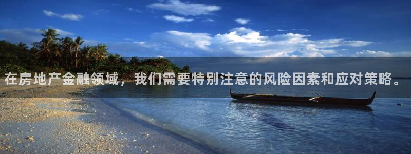 新宝h2O5O5O：在房地产金融领域，我们需要特别注意的风险
