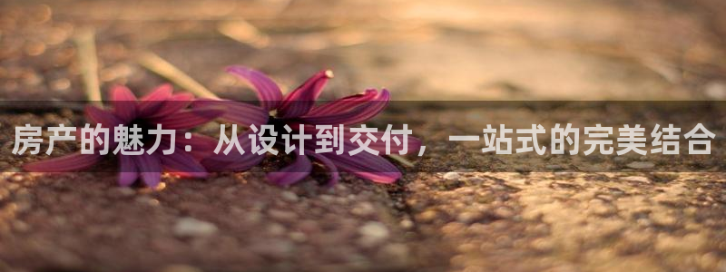 新宝5官网霸：房产的魅力：从设计到交付，一站式的完美结合