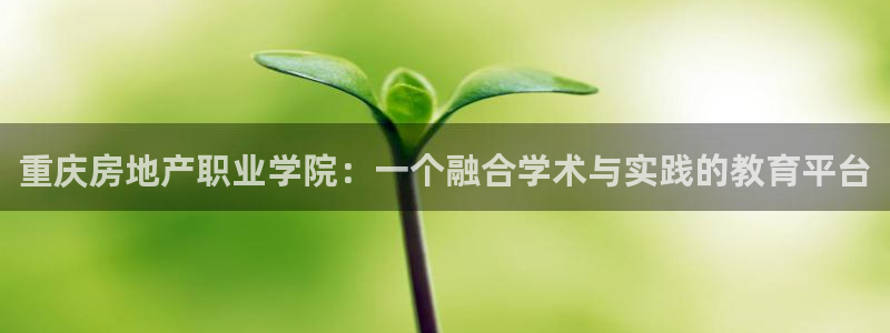 新宝5招商222111：重庆房地产职业学院：一个融合学术与实