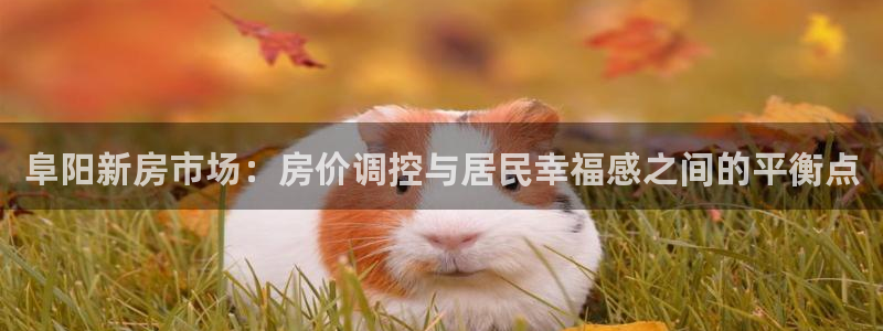 新宝cR一5：阜阳新房市场：房价调控与居民幸福感之间的平衡点