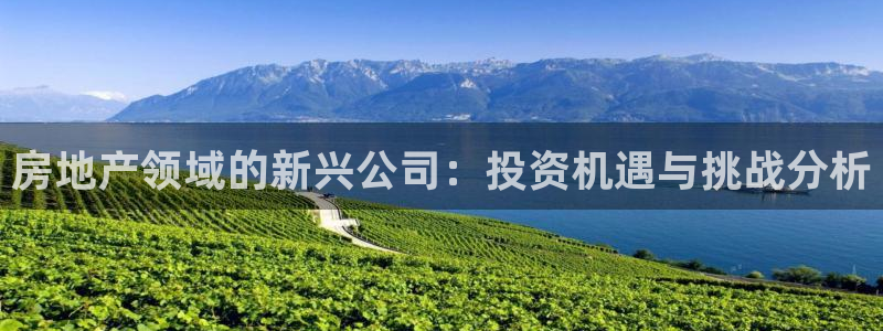 新宝5月：房地产领域的新兴公司：投资机遇与挑战分析