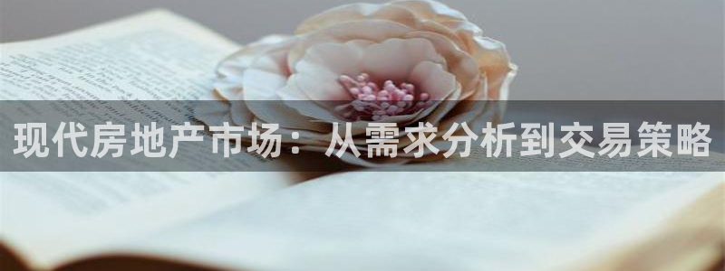 新宝5王问74OOO5：现代房地产市场：从需求分析到交易策略