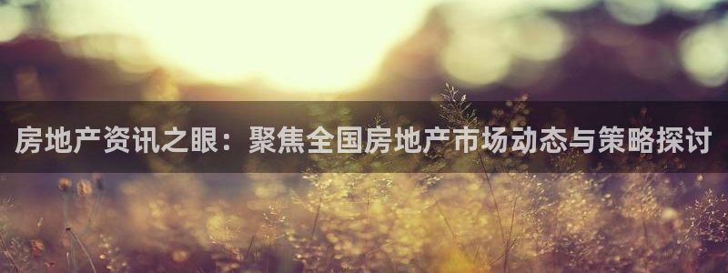新宝5登录不了：房地产资讯之眼：聚焦全国房地产市场动态与策略