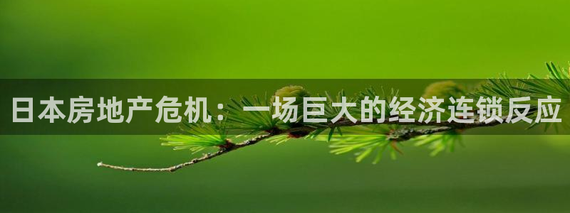 新宝5注册首页：日本房地产危机：一场巨大的经济连锁反应