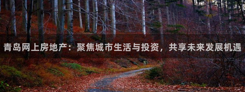 新宝5户端：青岛网上房地产：聚焦城市生活与投资，共享未来发展