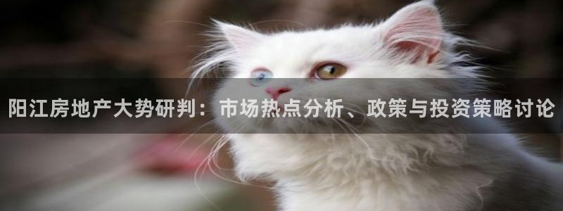 新宝5日：阳江房地产大势研判：市场热点分析、政策与投资策略讨
