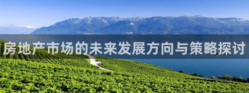 新宝5 唯一：房地产市场的未来发展方向与策略探讨